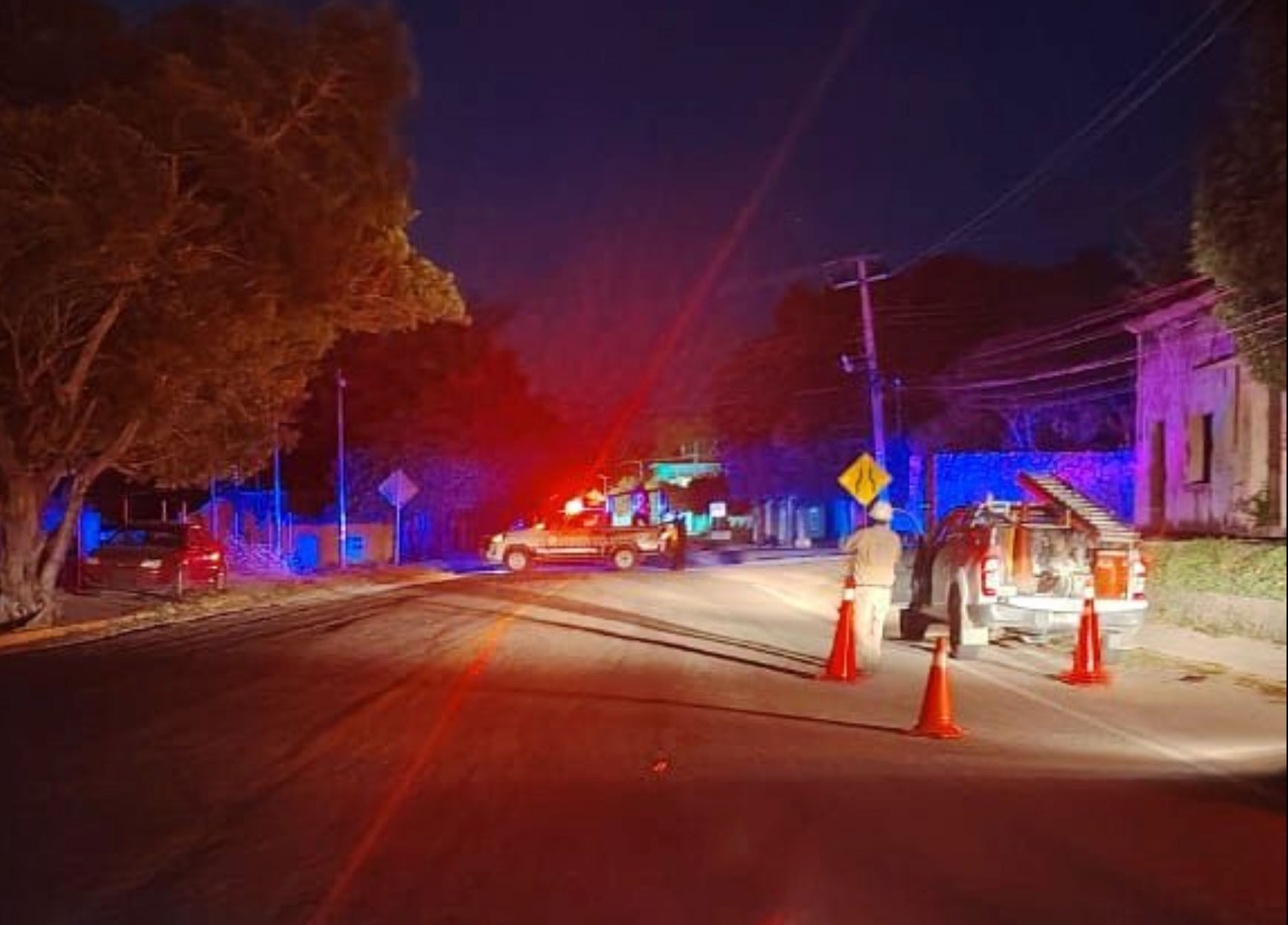 Fuertes-vientos-provocan-ca+¡da-de-+írboles-y-apagones-en-Arriaga1