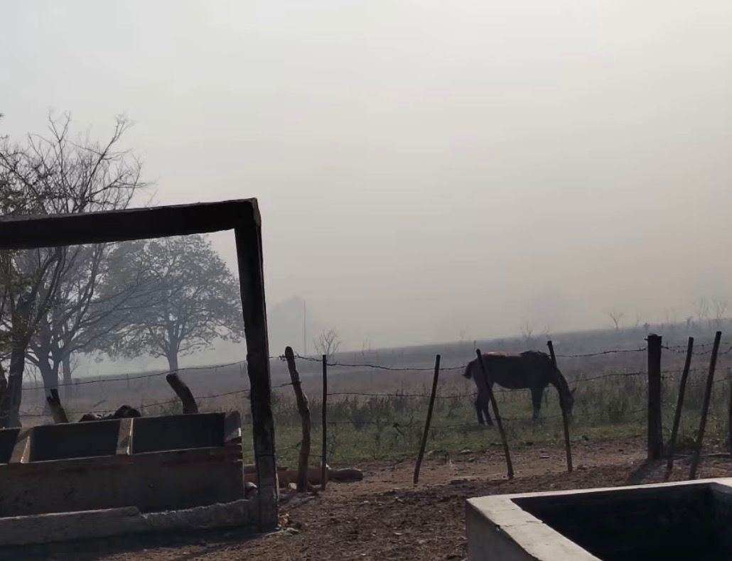 Incendios afectaron varias 1