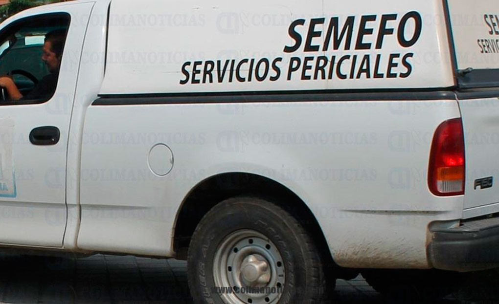 semefocuerpotonala
