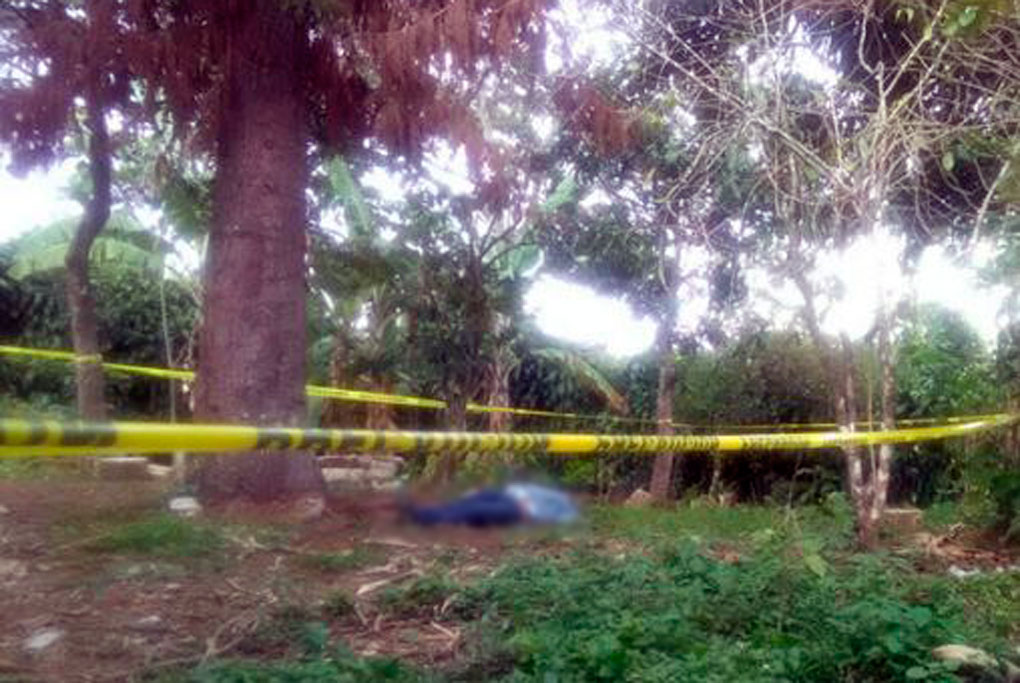 asesinado-palo