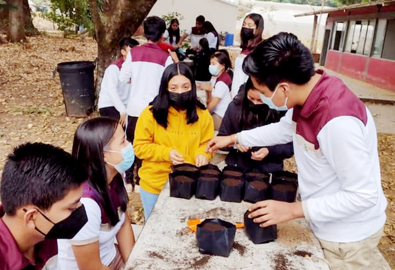 BOLETIN CECYTE-