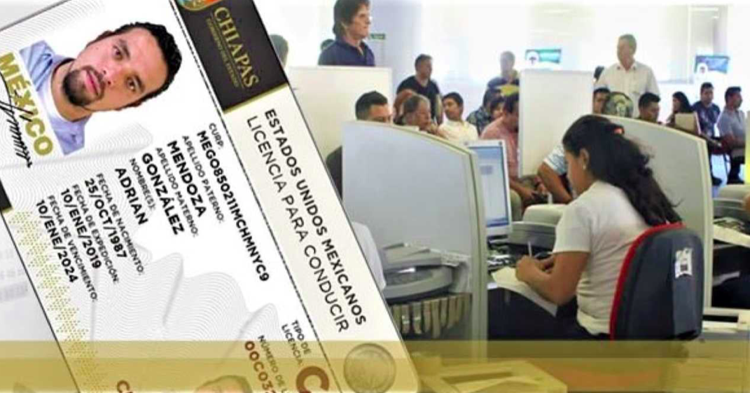 módulo canje licencias4