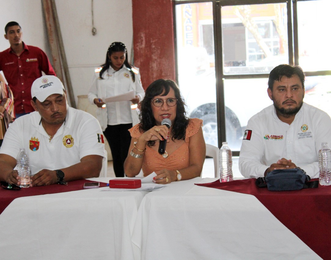 Gobierno de Arriaga-1
