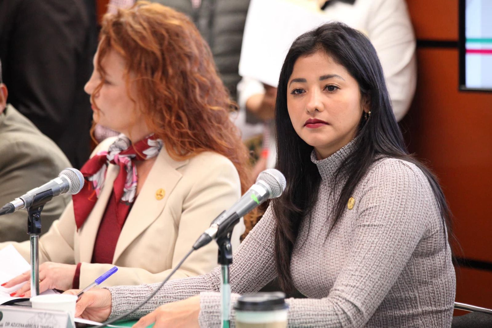 SE INSTALA COMISION DE PESCA-AZUCENA PRESIDENTA-1