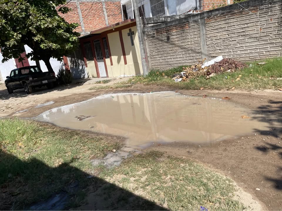 Denuncian foco de infeccio¦ün en Tonala¦ü1