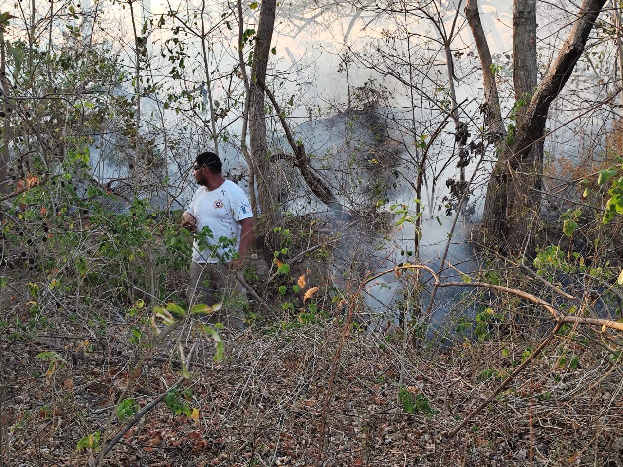 Sen¦âalan Incremento de incendios en Tonala¦ü7