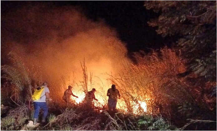 Controlan incendio de pastizal (1)