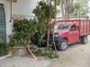 Camioneta se impacta contra vivienda y derriba árbol en colonia Serdán de Tonalá