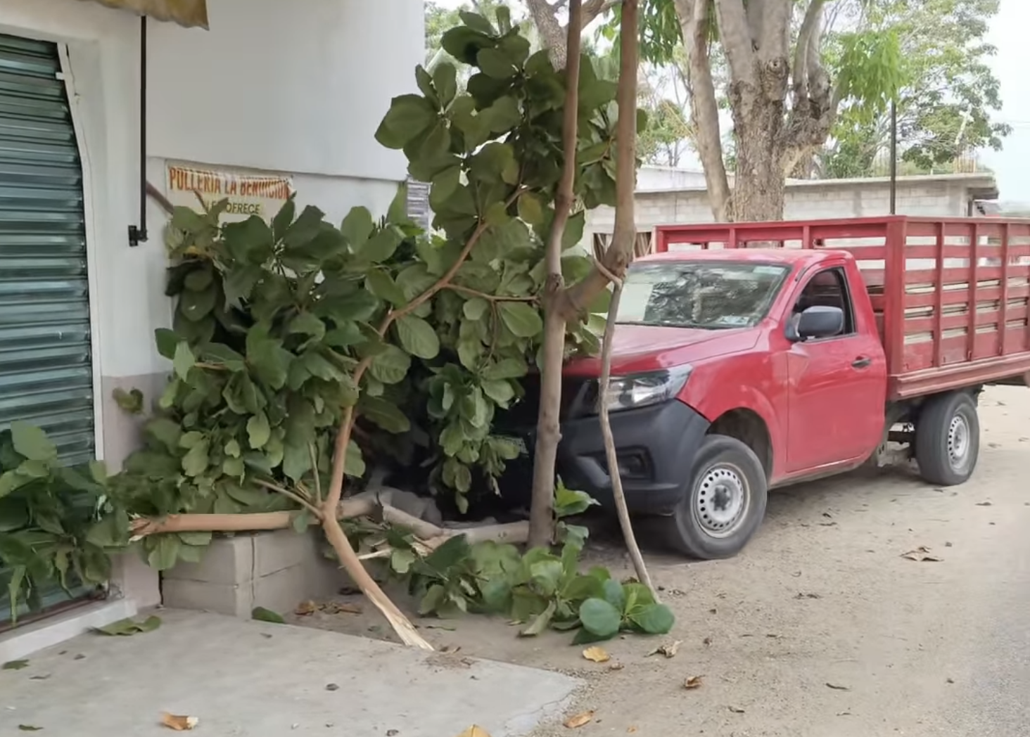 Camioneta se impacta contra vivienda y derriba a¦ürbol en colonia Serda¦ün de Tonala¦ü1