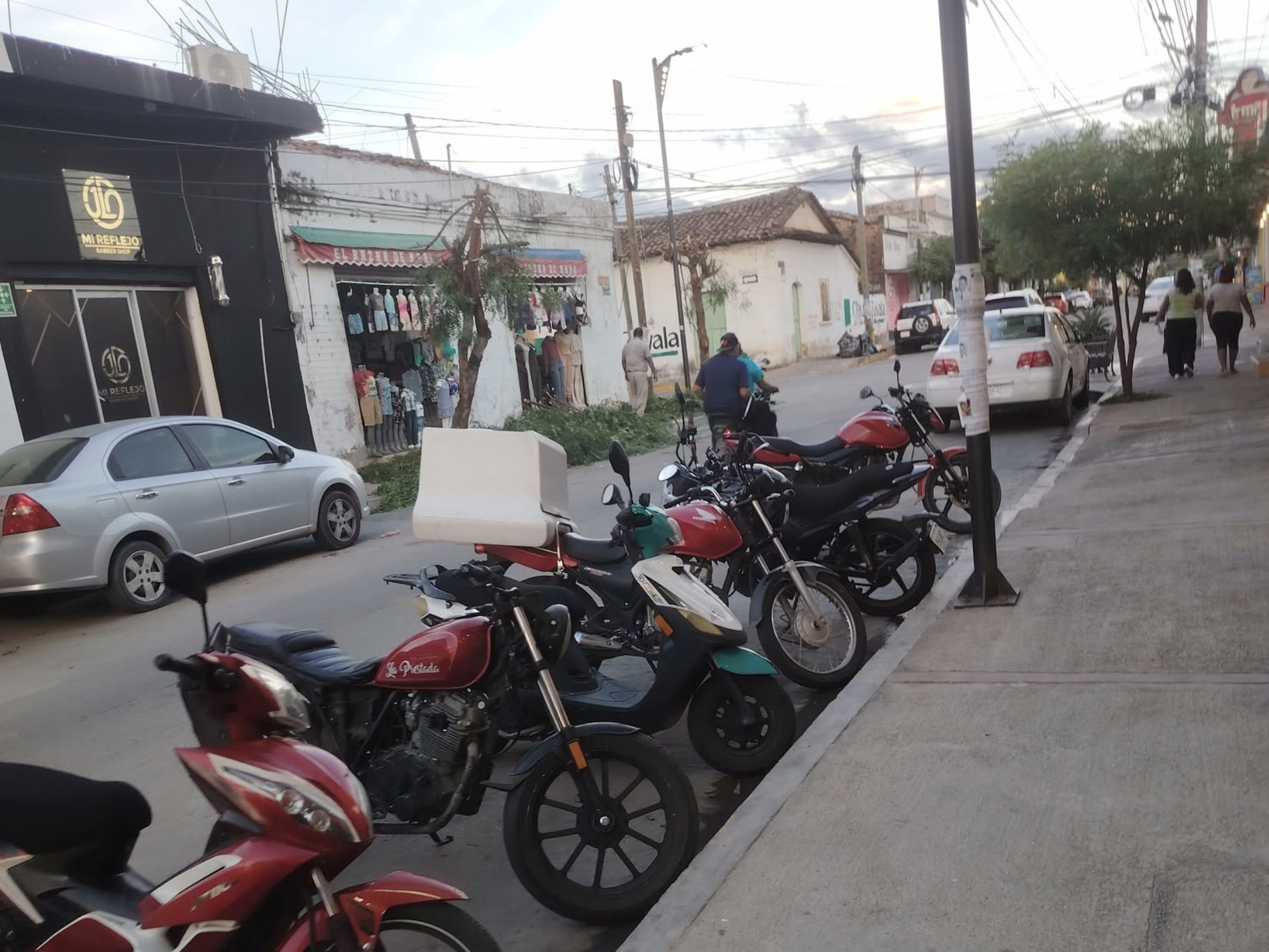 Menos a¦ürboles ma¦üs calor en Tonala¦ü1