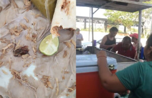 Sorprende a clientes “tacos con cucaracha” en Arriaga