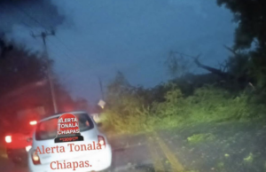 Fuertes lluvias y vientos dejan daños materiales y cortes de energía en Tonalá y Pijijiapan