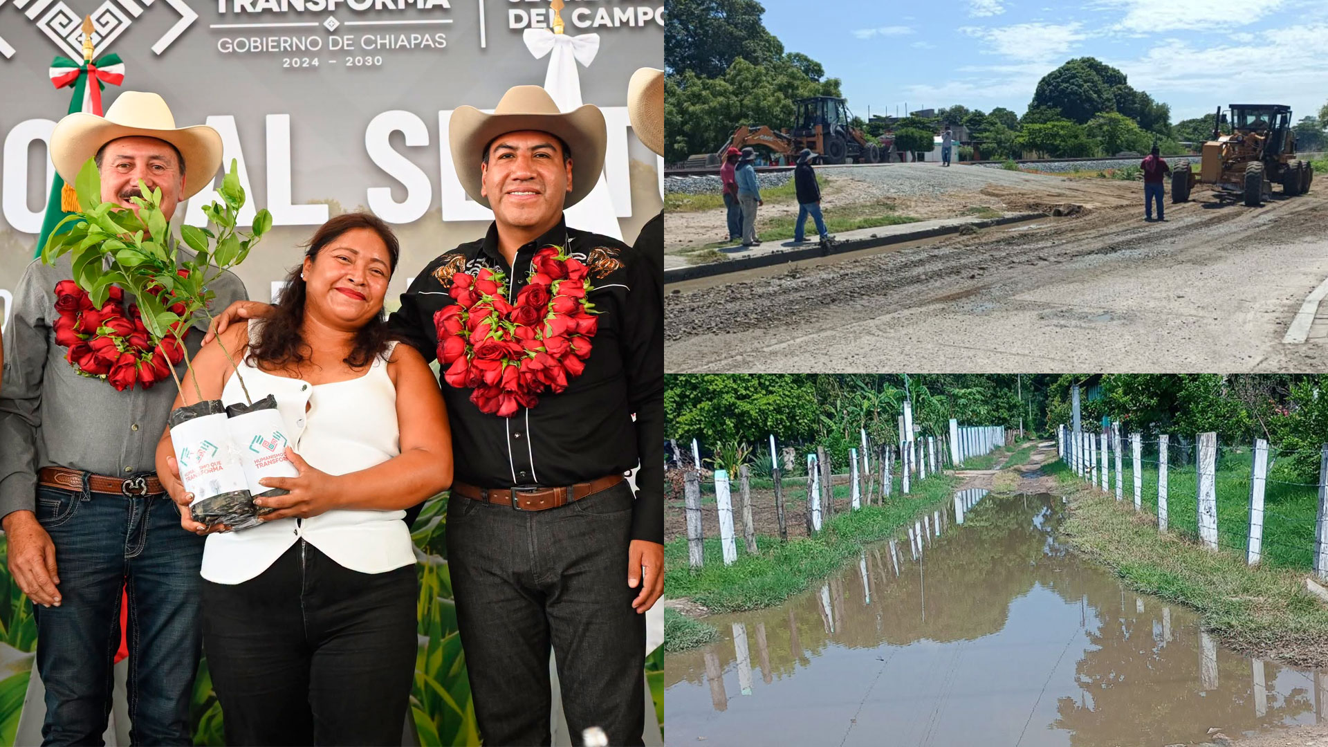 columchis-08julio2026