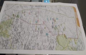 Chiapas reactiva batalla jurídica por Los Chimalapas; Congreso analiza nuevos pasos