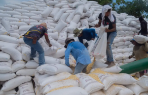 Gobierno de Chiapas anuncia seguro agrícola para productores afectados por sequía en 2026