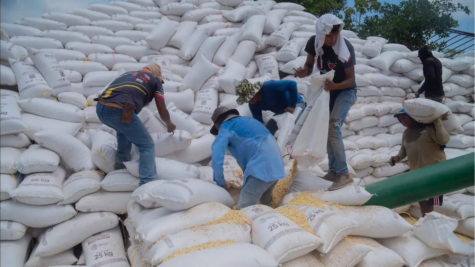 Gobierno de Chiapas anuncia (1)