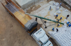 Sequía arrasa con cultivos en Chiapas: campesinos de Villacorzo temen perder hasta el 40% de su maíz