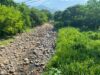 Zanatenco con poca agua y Tonalá con más cemento; cuestionan falta de reforestación