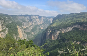 Chiapas protege más de un millón de hectáreas y destina 40 mdp a conservación
